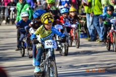 Foto: Sandi Rus