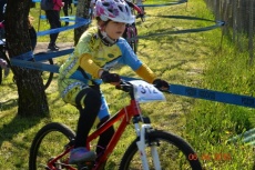 Foto: Sandi Rus