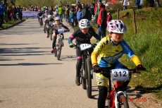 Foto: Sandi Rus