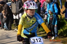 Foto: Sandi Rus