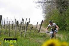 Foto:Jani Brumat