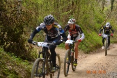 Foto: Sandi Rus